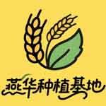 燕华种植